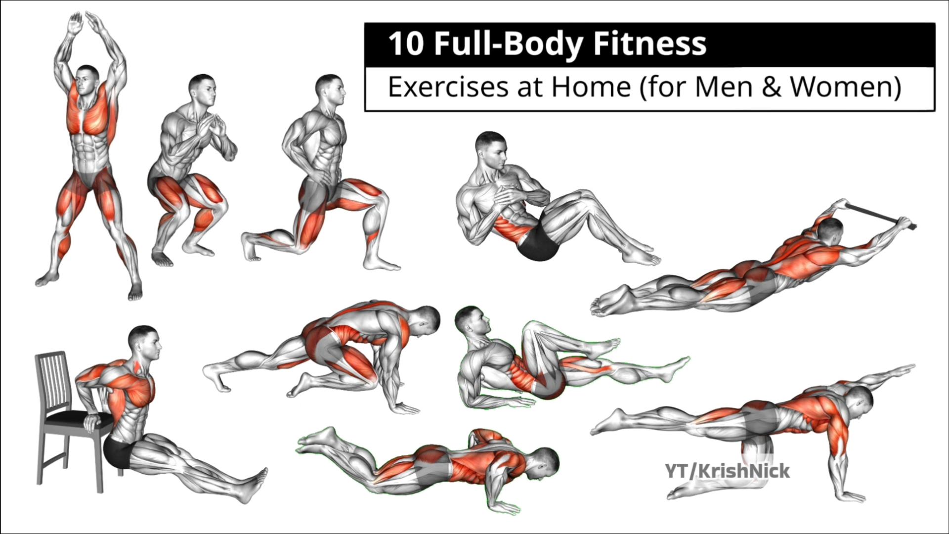 Personalized Gym Exercises