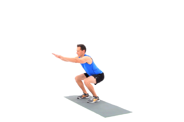 Squats 3D Animation
